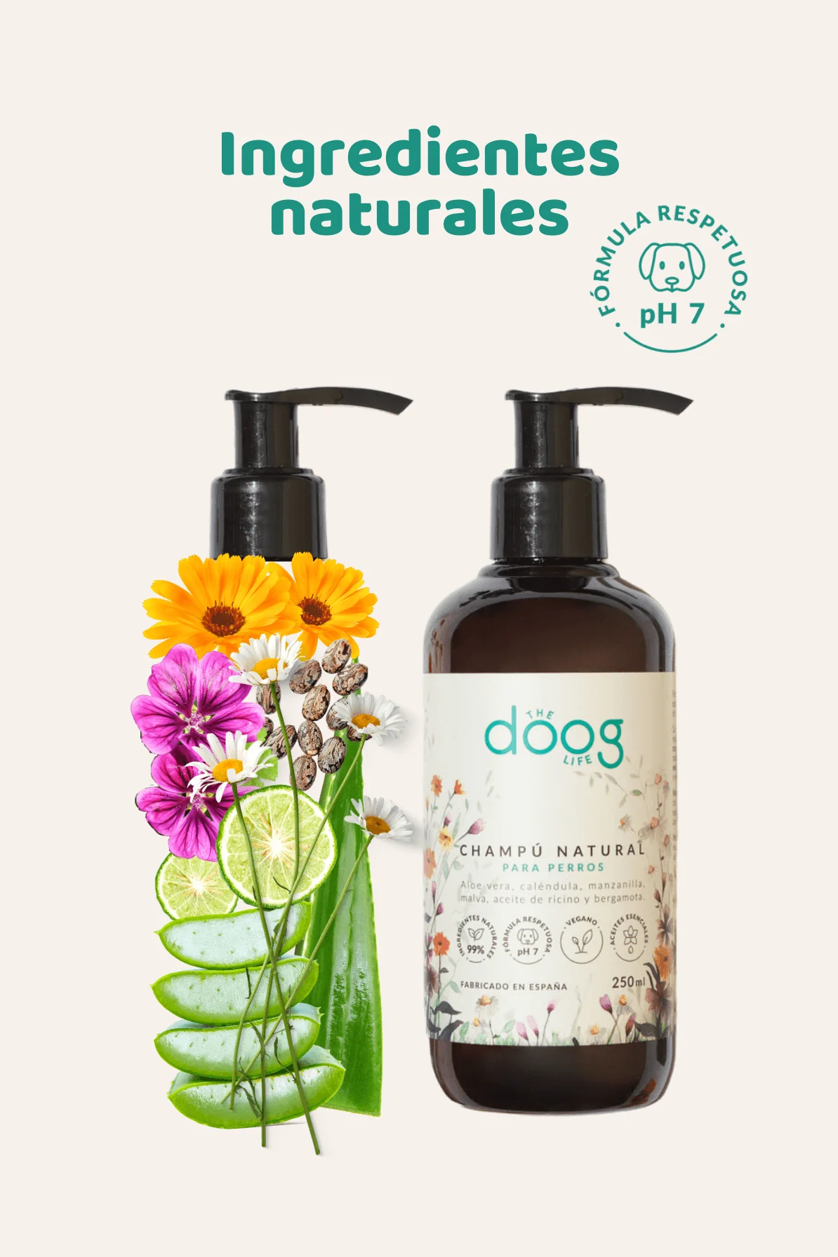 Champú ecológico - Image 6