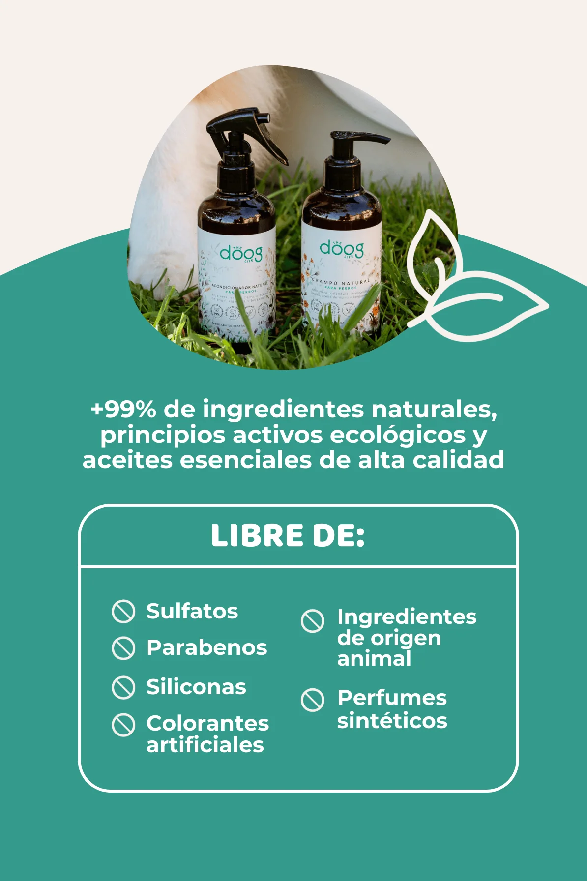 Pack baño - Image 4