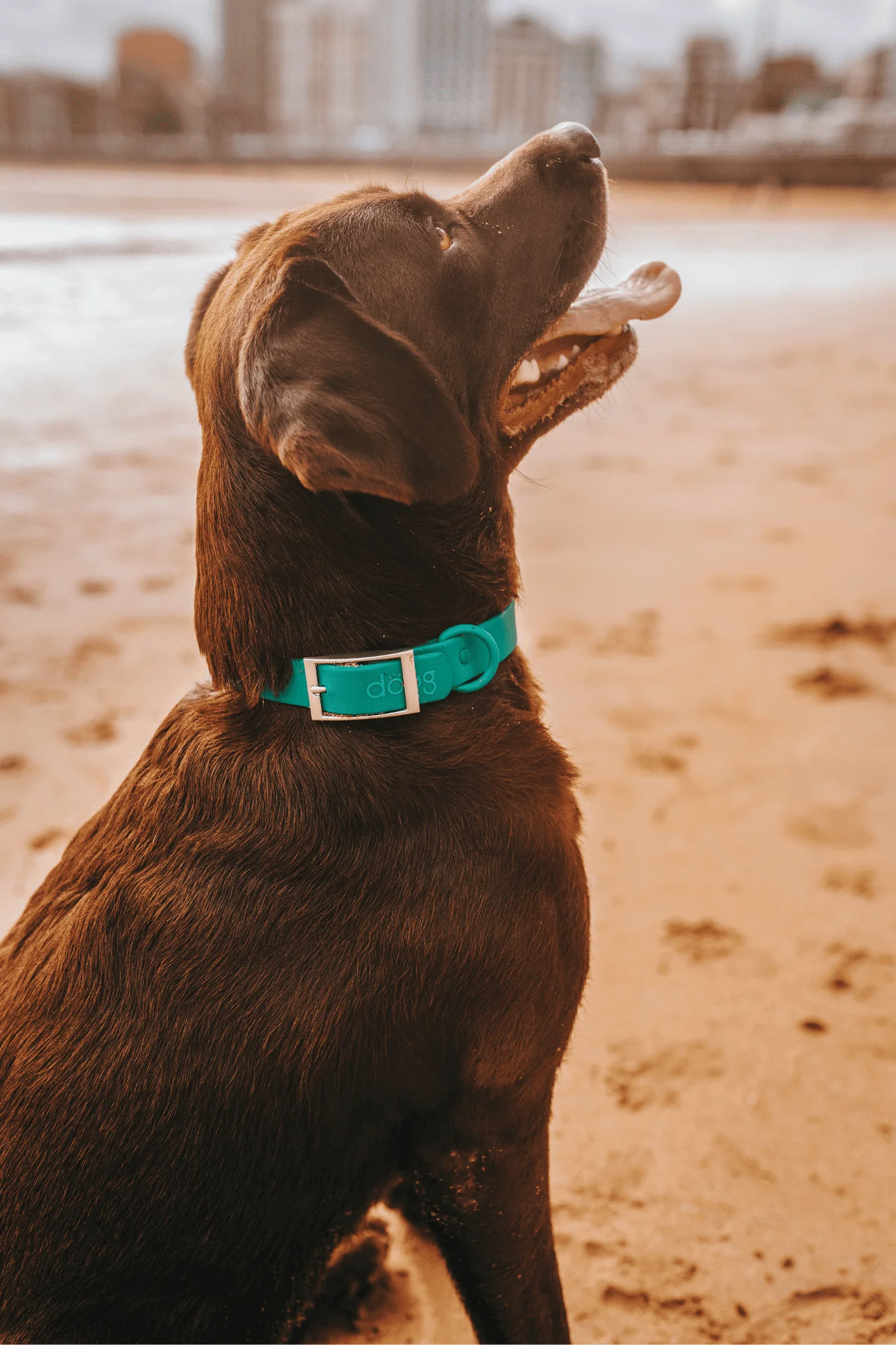 Collar Waterproof - Image 11