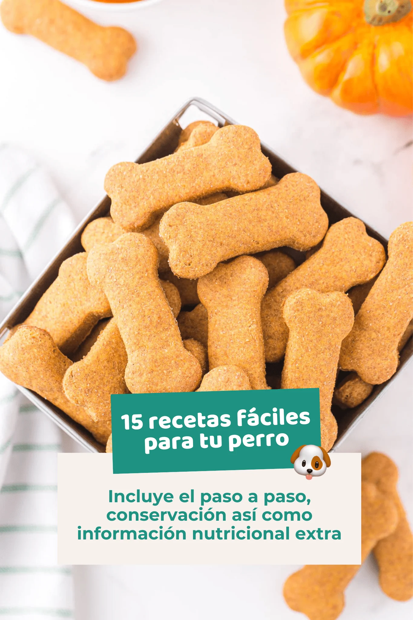 Ebook: 15 recetas fáciles para tu perro - Image 3