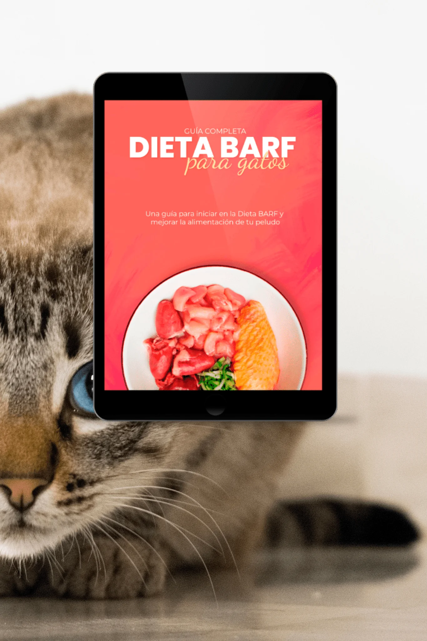 Ebook: Dieta Barf para gatos. Guía completa