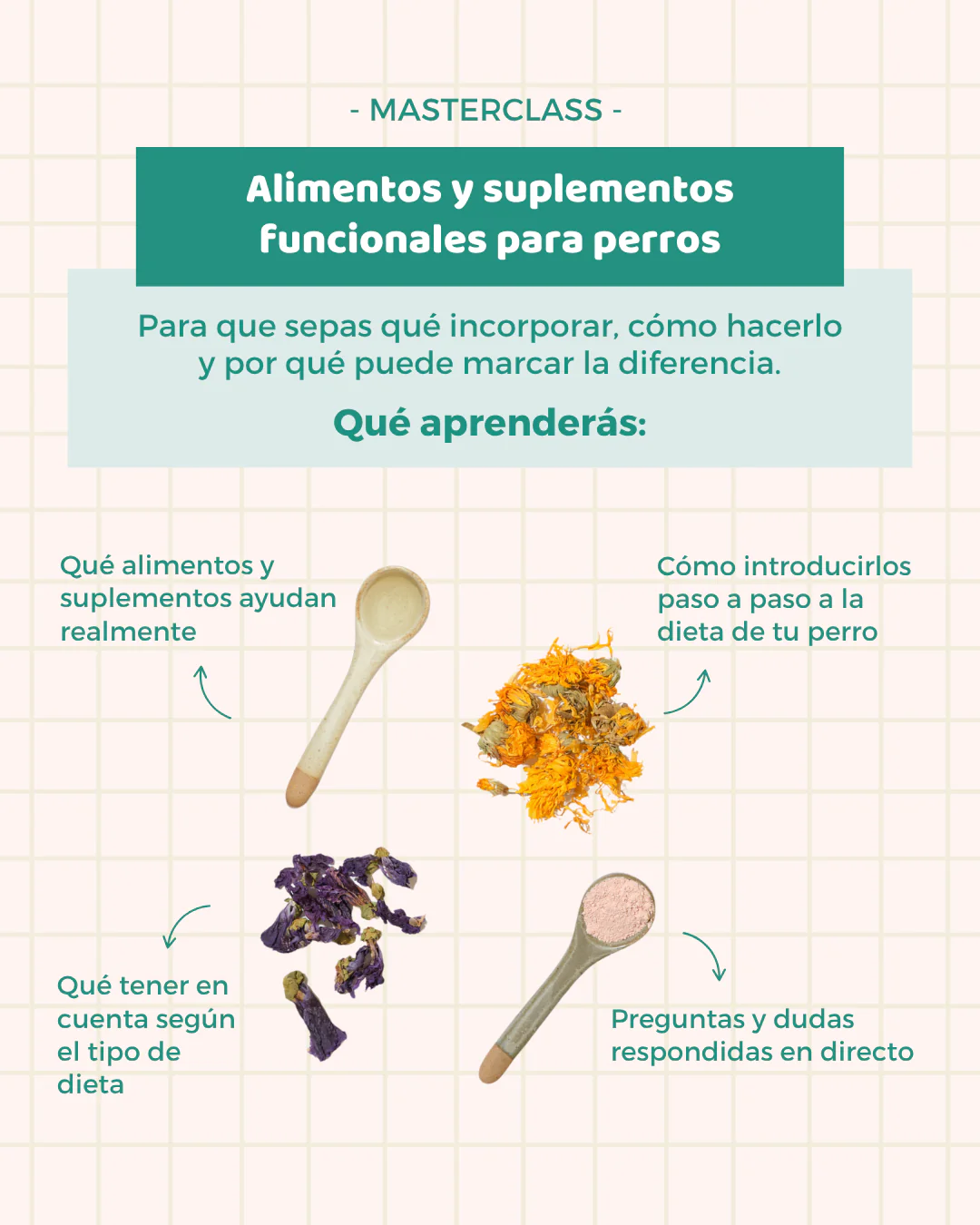 Masterclass grabada | Alimentos y suplementos funcionales para perros - Image 3