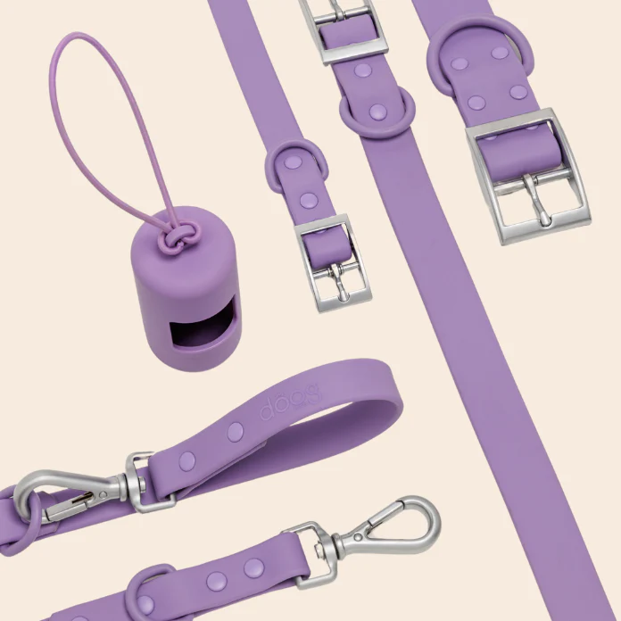 Pack paseo - Image 4