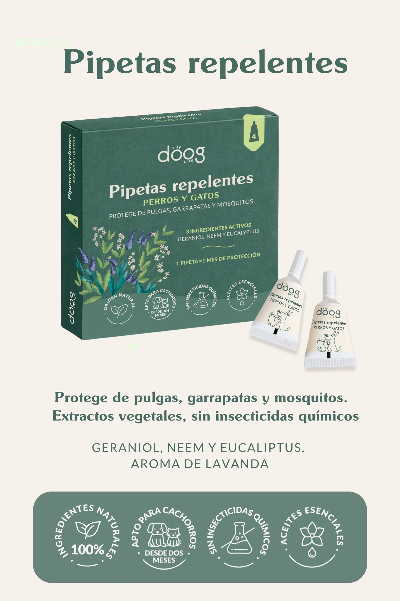 Novedades